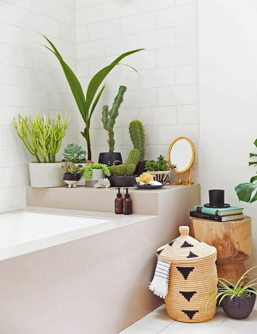 Plants in the Bathroom Decor Ideas