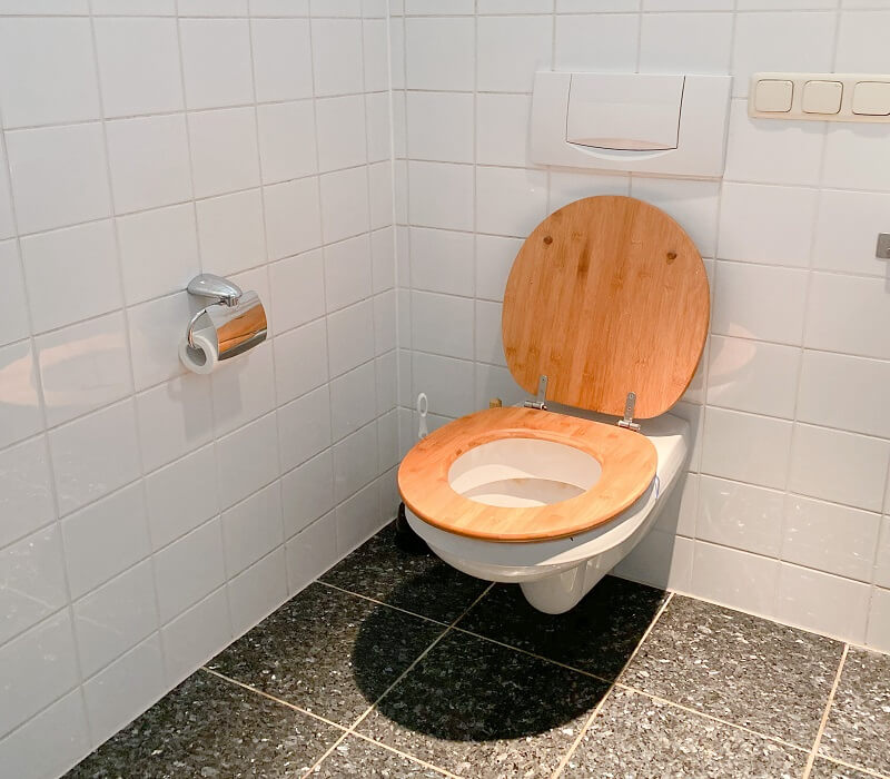 Benefits of Using a Bidet Toilet Seat