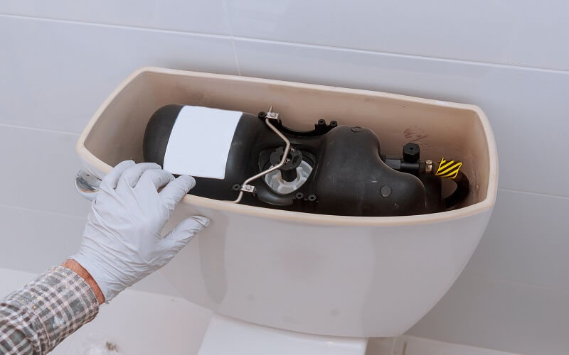 Toilet Fill Valve Cleaning