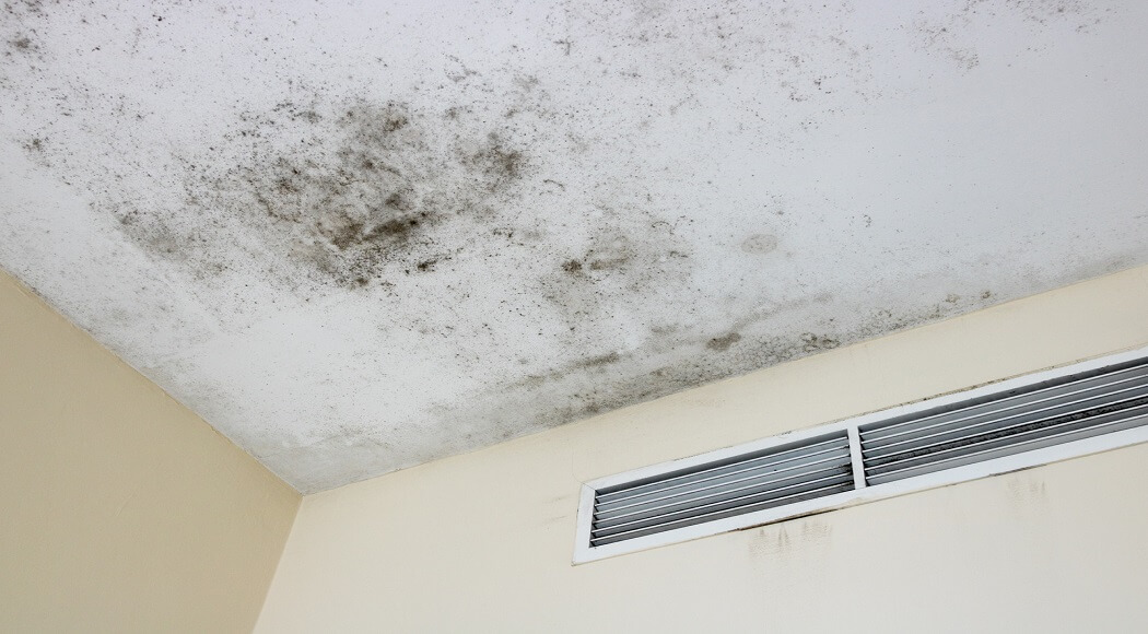 mold on bathroom ceiling